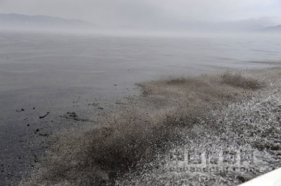 大連新港輸油管道爆炸后海面上大片的油污