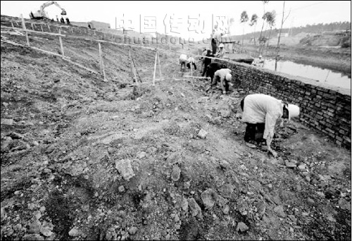 云南興隆村，遭受鉻渣污染，無辜者深受鉻污染之苦，被大家戲稱為“癌癥村”的興隆村進(jìn)入公眾視線